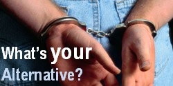 What's Your Alternative?