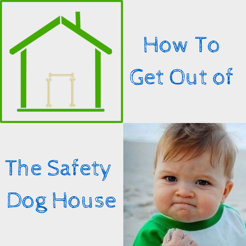 How An Effective Safety Program Can Get You Out of the Dog House